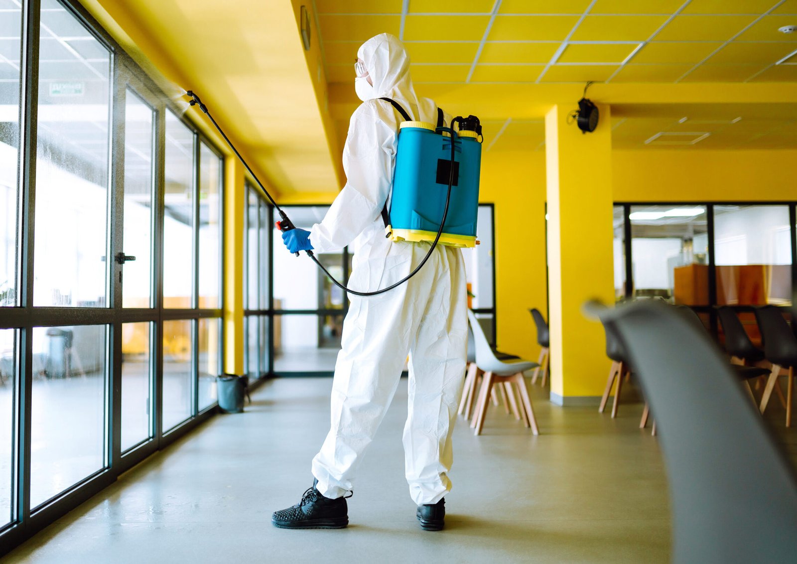 Regular Sanitization and Disinfection Service